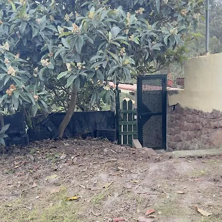 La Bodega De Julián * Tegueste