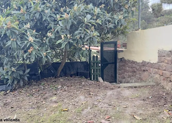 La Bodega De Julian * Tegueste